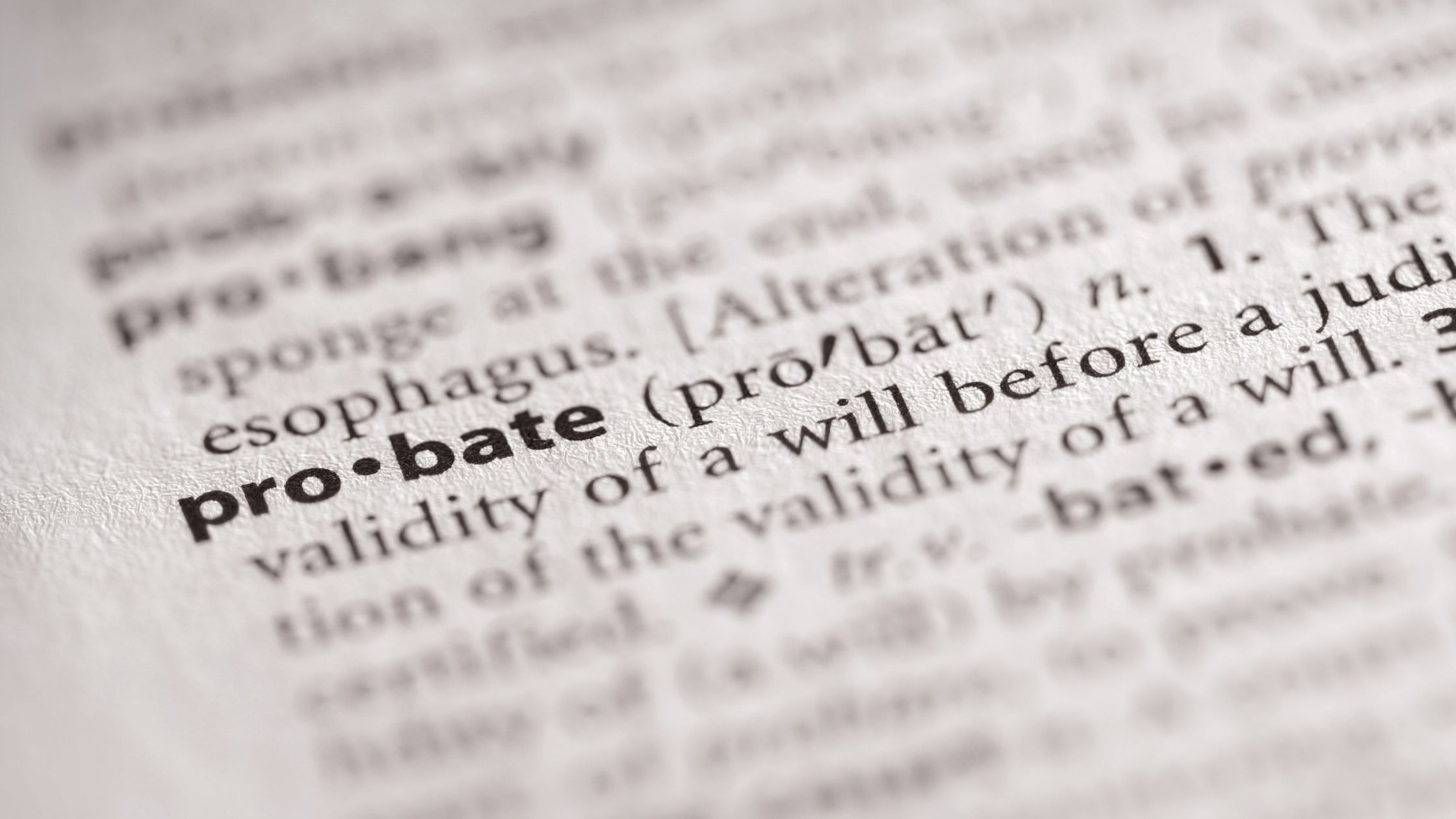 Grant of Probate and the fee changes proposed for 2019